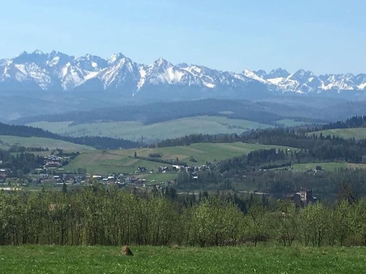 Zdjęcie 8